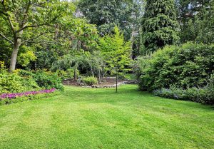 Optimiser l'expérience du jardin à Plorec-sur-Arguenon